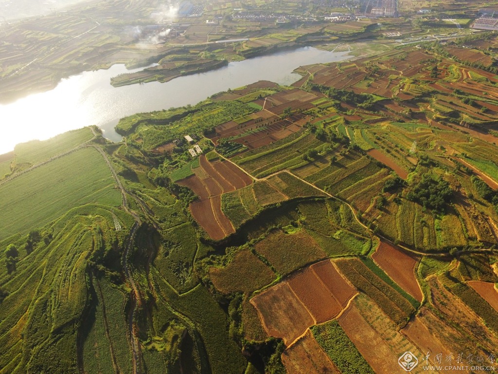 鸟瞰梯田