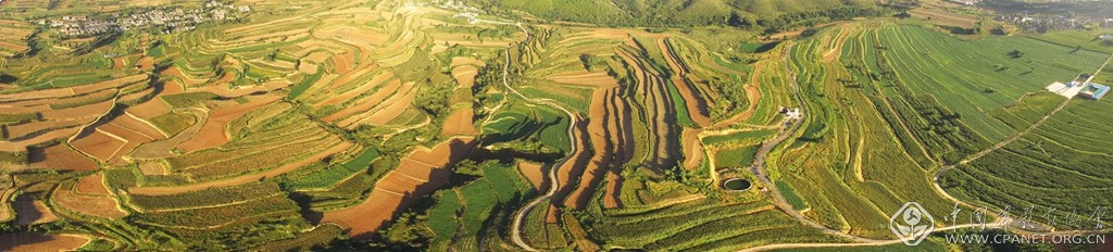 鸟瞰梯田